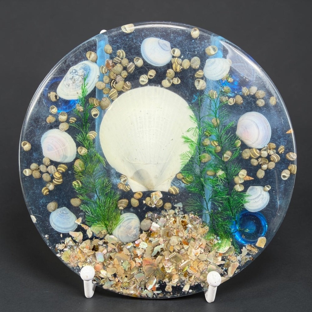 Vintage Lucite Seashell Trivet 6 Inch Round Clear Resin Coastal Decor Blue White